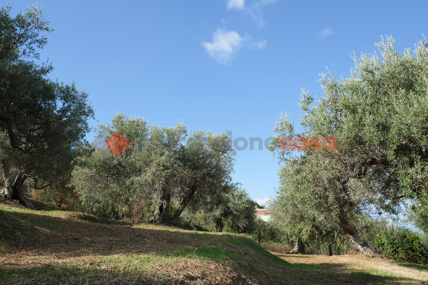 Terreno Agricolo in vendita a Pace del Mela