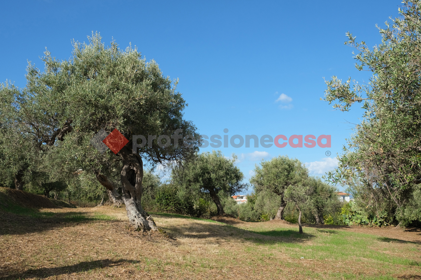 Terreno Agricolo in vendita a Pace del Mela