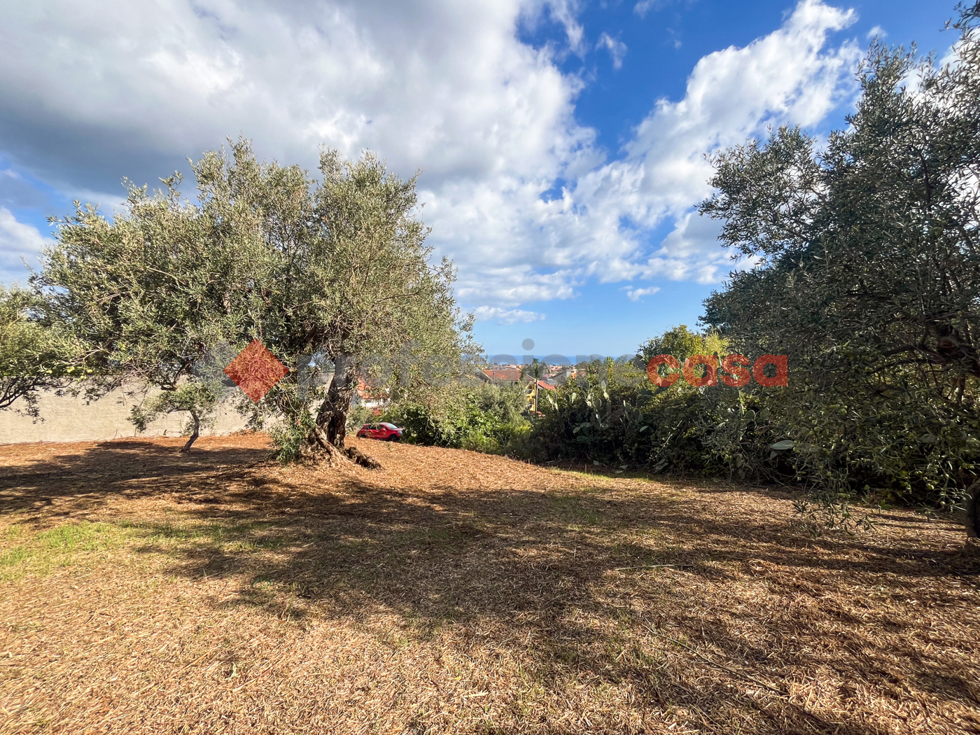 Terreno Agricolo in vendita a Pace del Mela