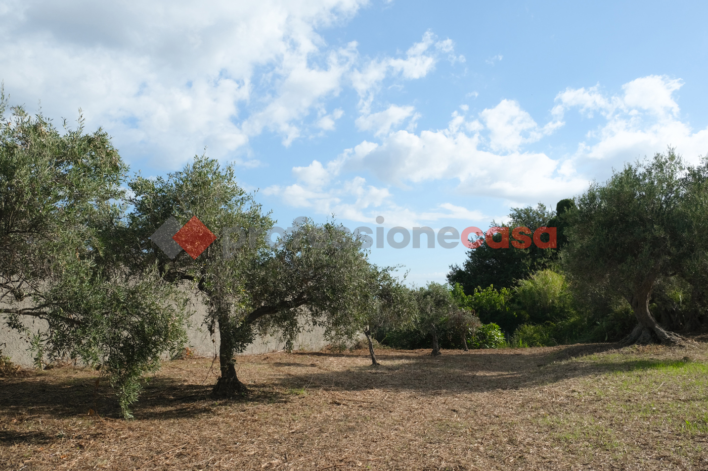Terreno Agricolo in vendita a Pace del Mela
