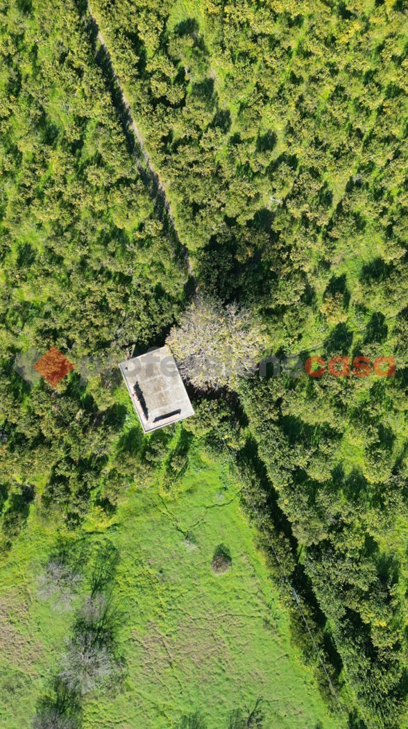 Terreno Agricolo in vendita a Milazzo