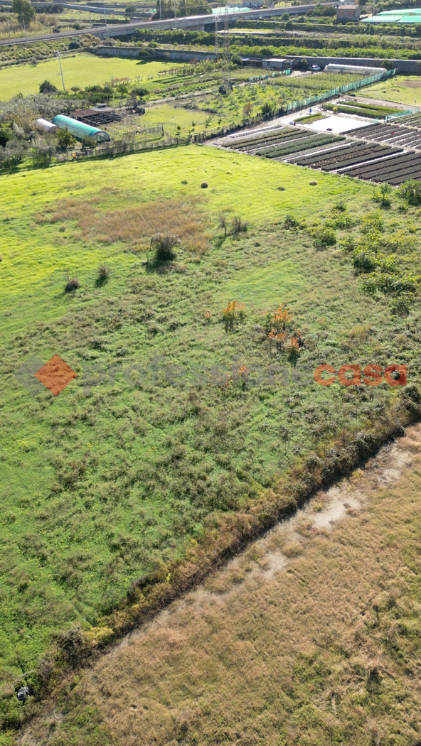 Terreno Agricolo in vendita a Milazzo