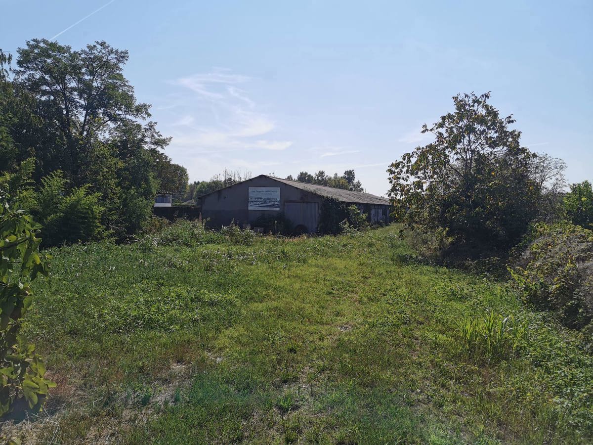 Terreno Edificabile in vendita a Nogara