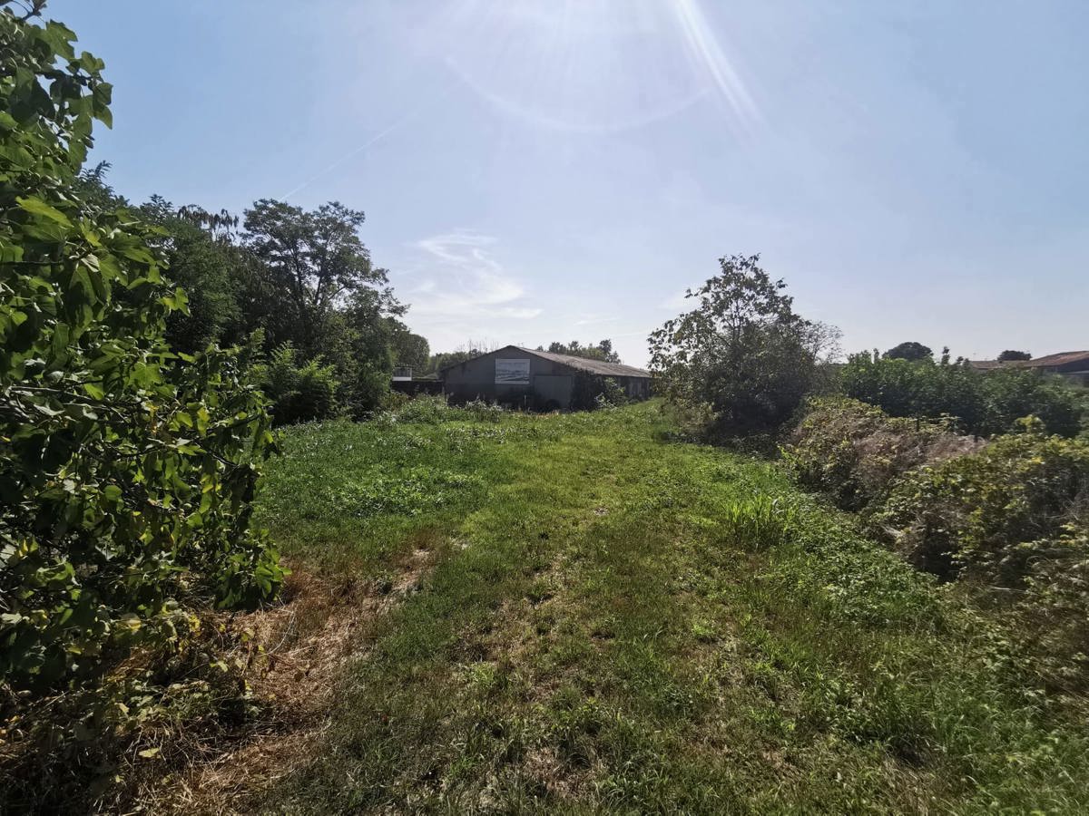 Terreno Edificabile in vendita a Nogara