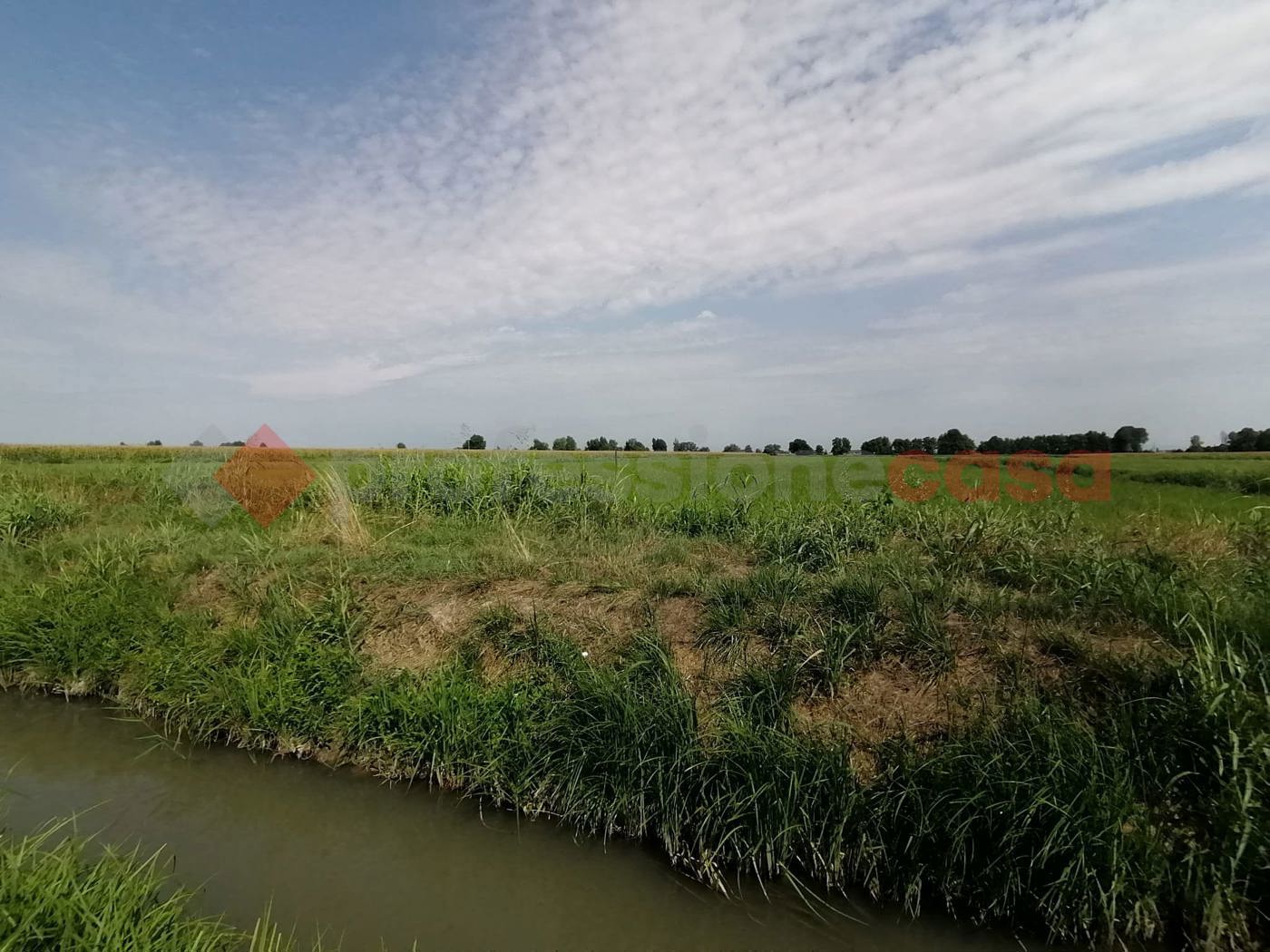 Terreno Agricolo in vendita a Casaleone