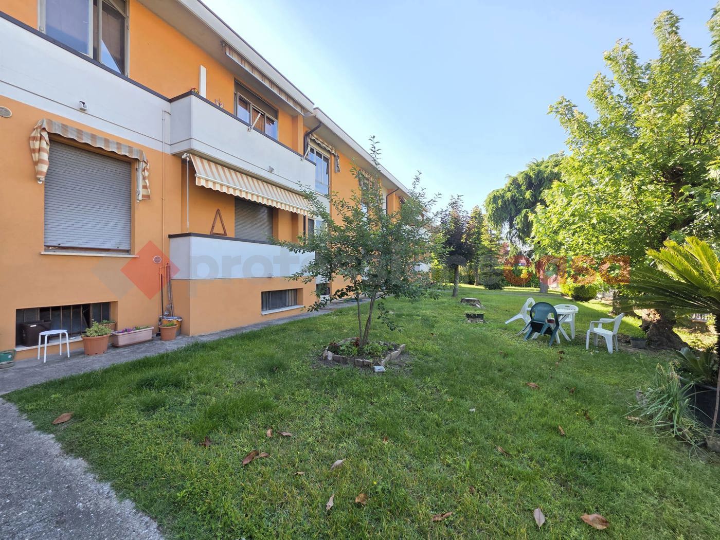 Appartamento in vendita a Nogara