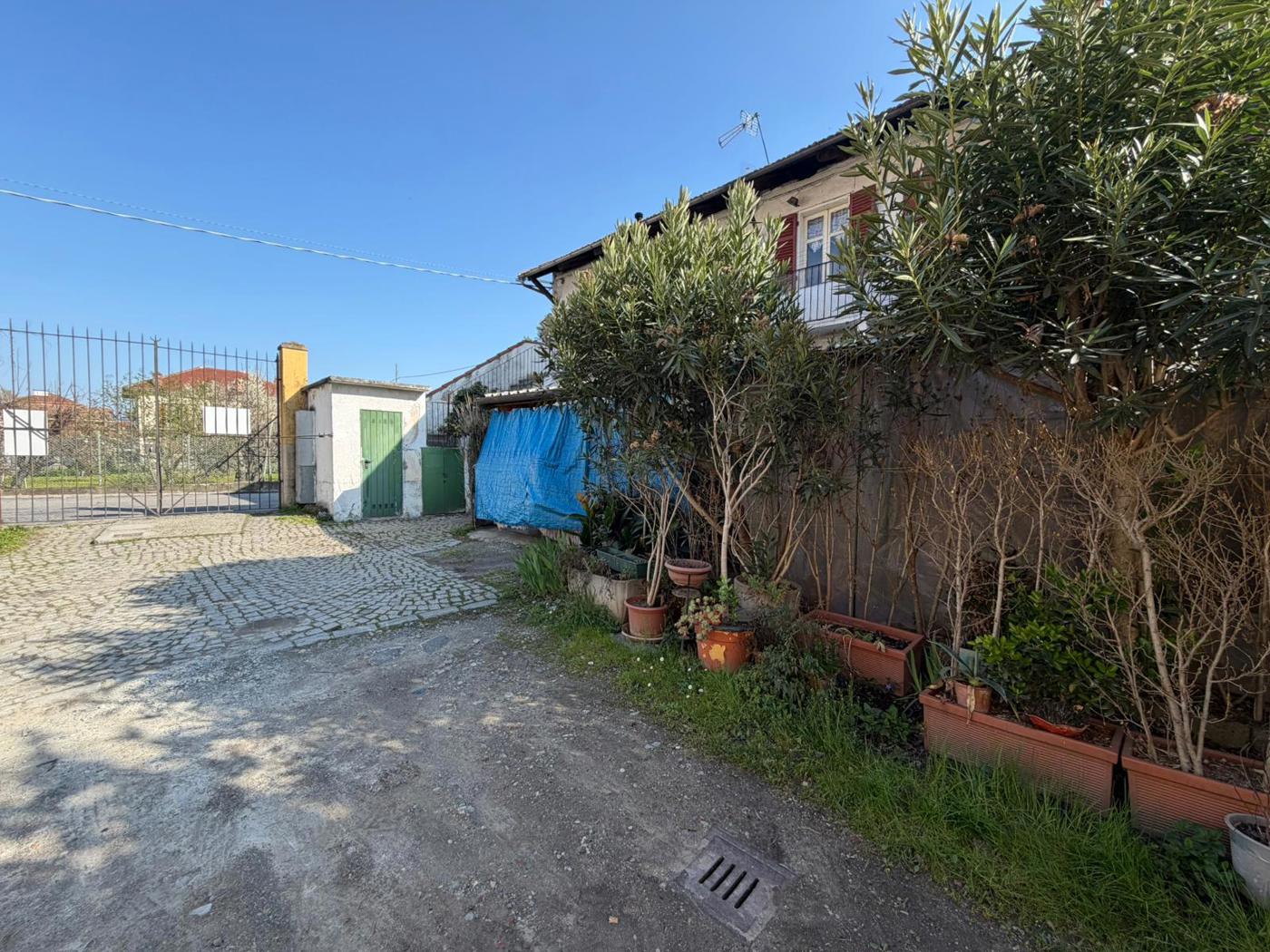 Attivit� commerciale Ristorante e pizzeria in vendita a Buttigliera Alta