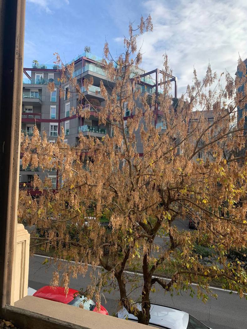 Quadrilocale nuovo a Milano