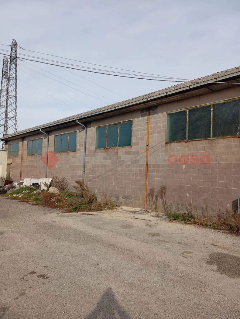 Capannone in affitto a Carsoli