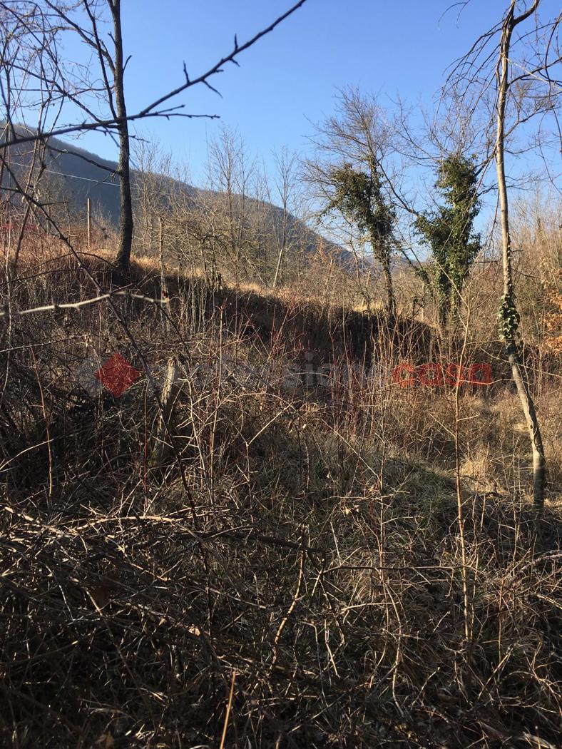 Terreno Agricolo in vendita a Paganico Sabino