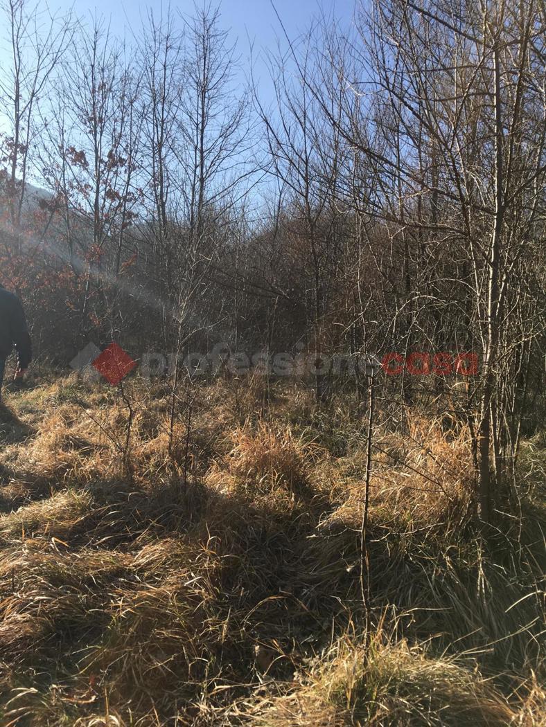 Terreno Agricolo in vendita a Paganico Sabino