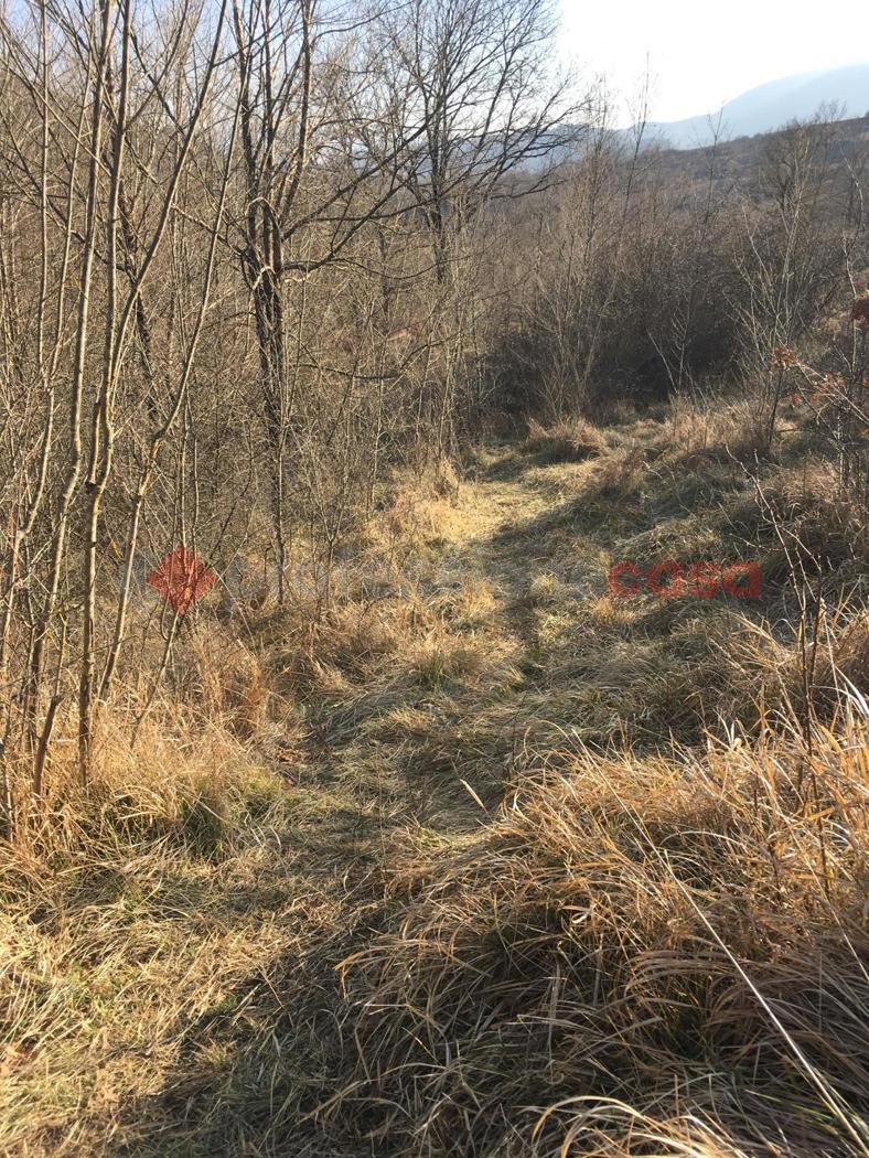 Terreno Agricolo in vendita a Paganico Sabino