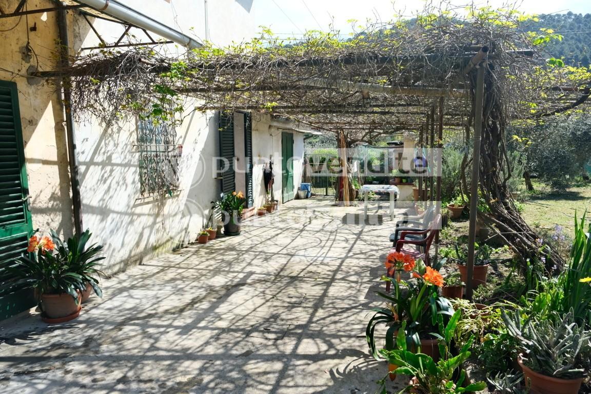 Casa indipendente con giardino, Capannori coselli