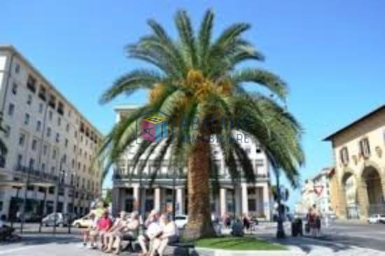 Attivit� commerciale in vendita, Livorno centro