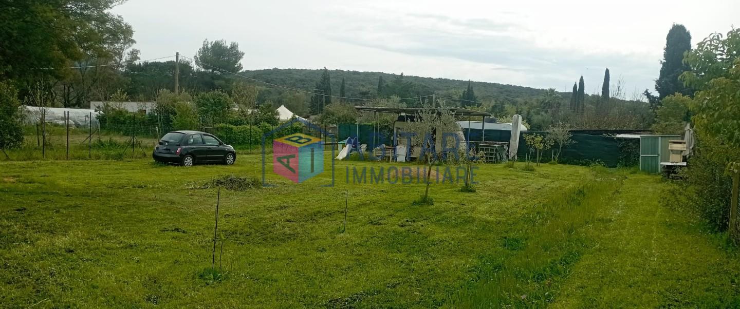 Terreno Agricolo in vendita, Livorno le padule
