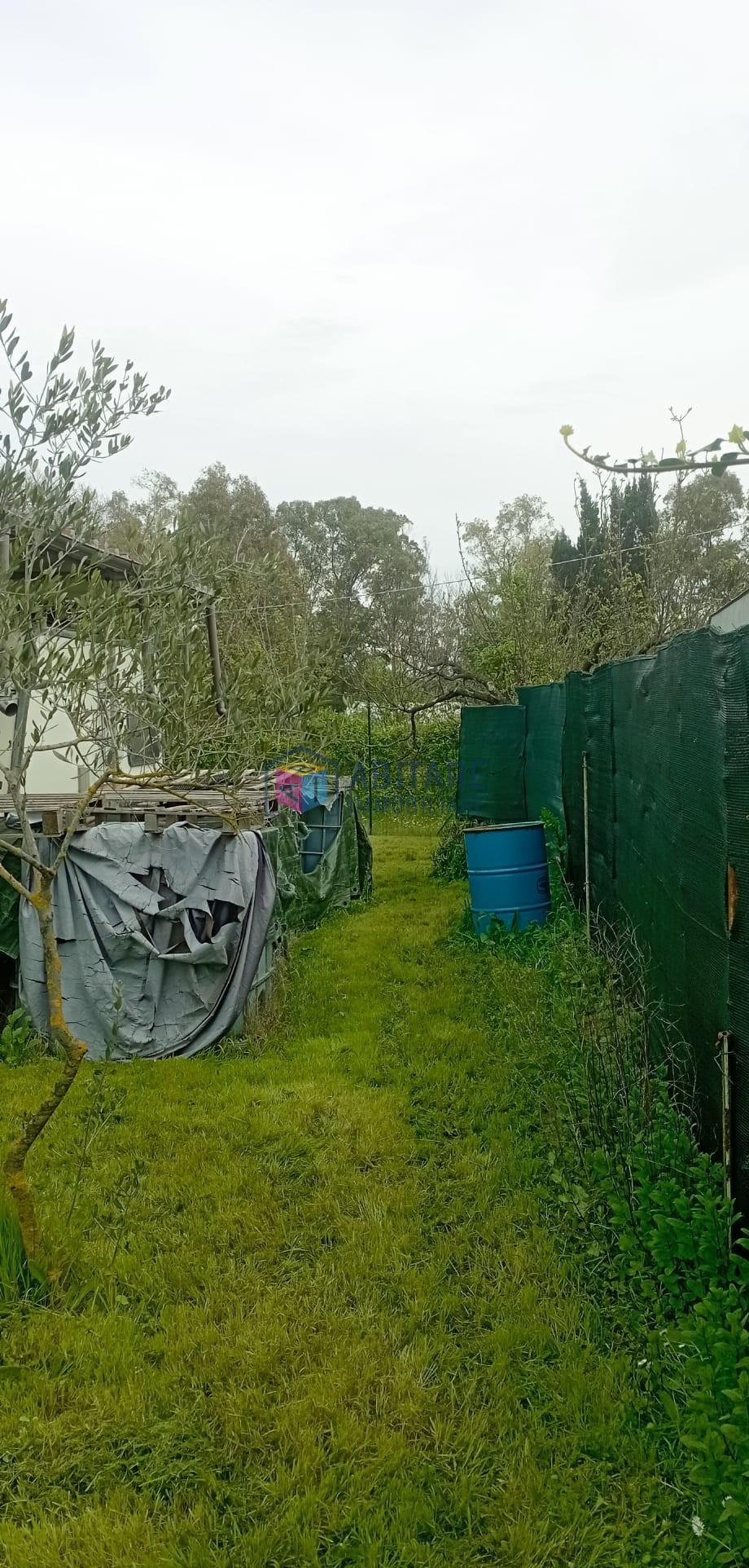 Terreno Agricolo in vendita, Livorno le padule