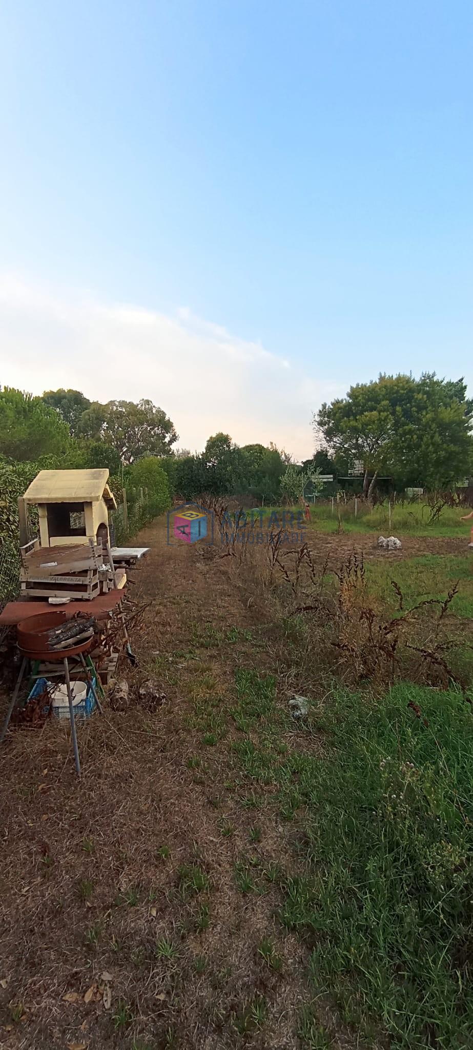 Terreno Agricolo in vendita, Livorno le padule