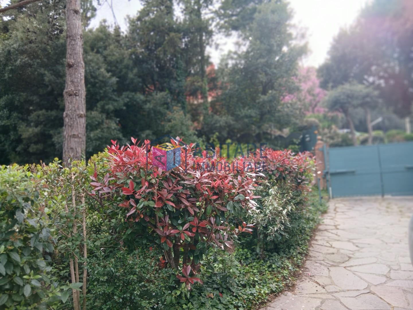 Quadrilocale con giardino, Livorno montenero basso