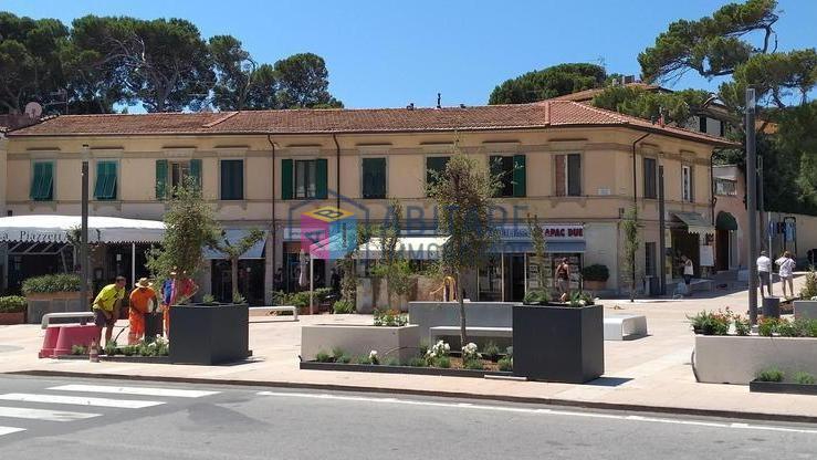 Attivit� commerciale in vendita, Rosignano Marittimo castiglioncello