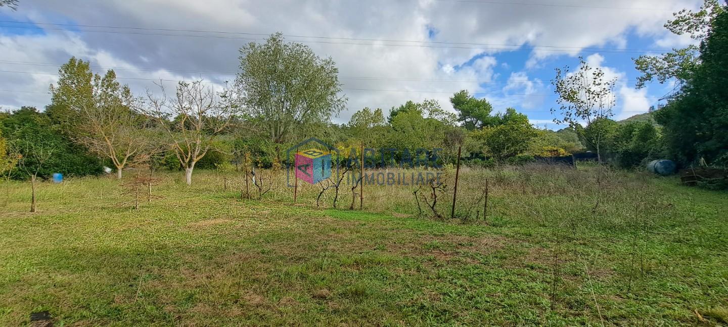Terreno Agricolo in vendita, Livorno limoncino