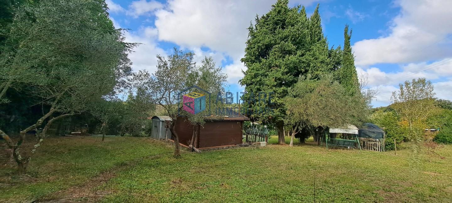Terreno Agricolo in vendita, Livorno limoncino