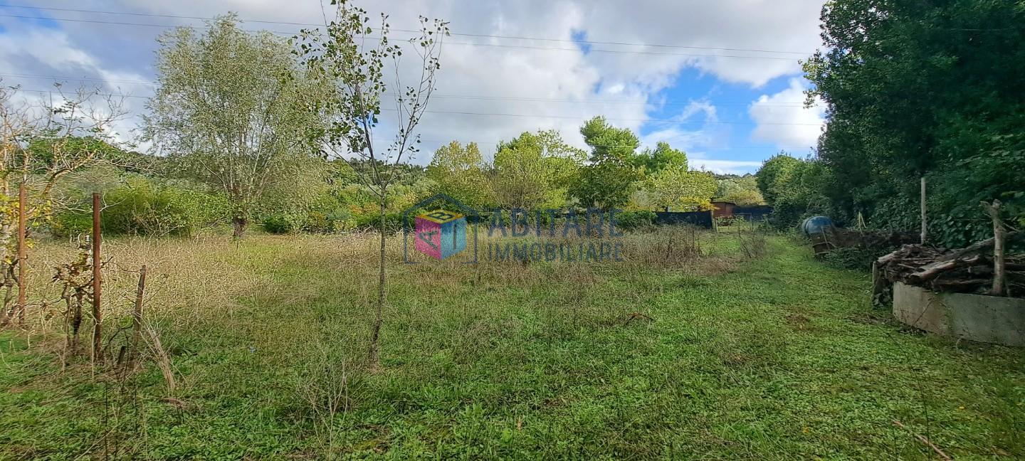 Terreno Agricolo in vendita, Livorno limoncino