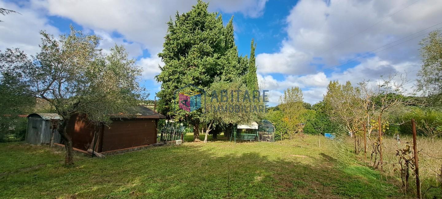 Terreno Agricolo in vendita, Livorno limoncino
