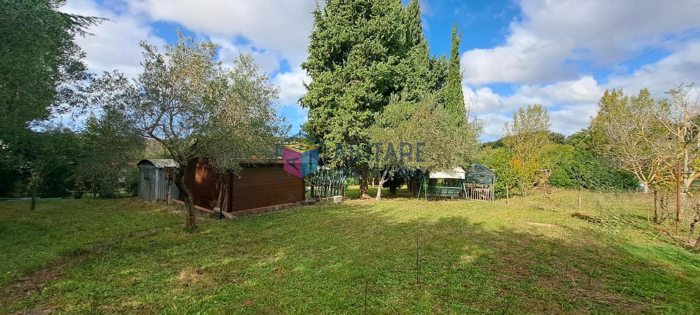 Terreno Agricolo in vendita, Livorno limoncino