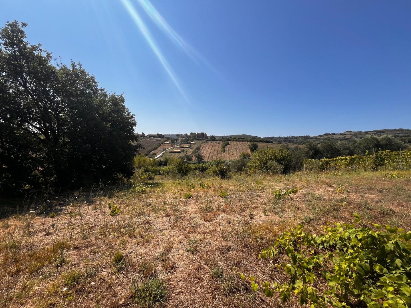 Terreno Agricolo in vendita, Rosignano Marittimo castelnuovo misericordia