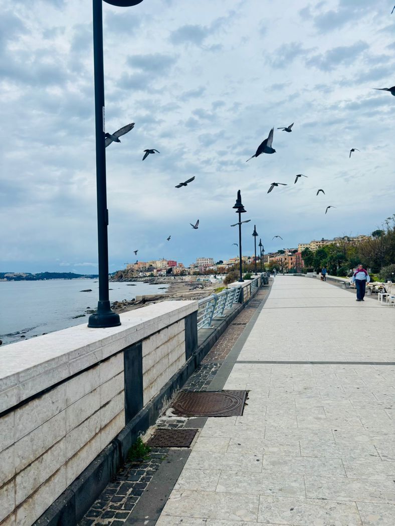 Trilocale in affitto a Pozzuoli