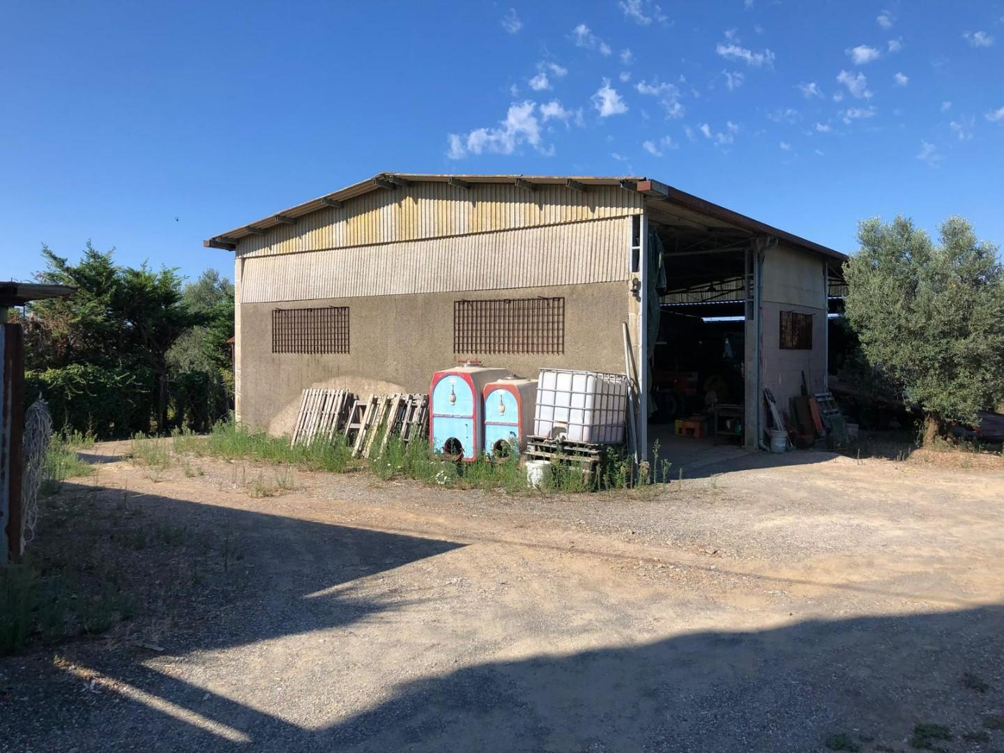 Terreno Edificabile in vendita, Cecina collemezzano alto