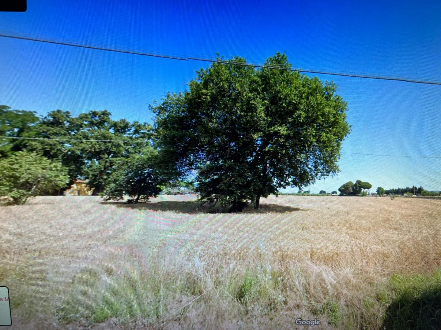 Terreno Agricolo in vendita, Cecina collemezzano basso san giuseppe