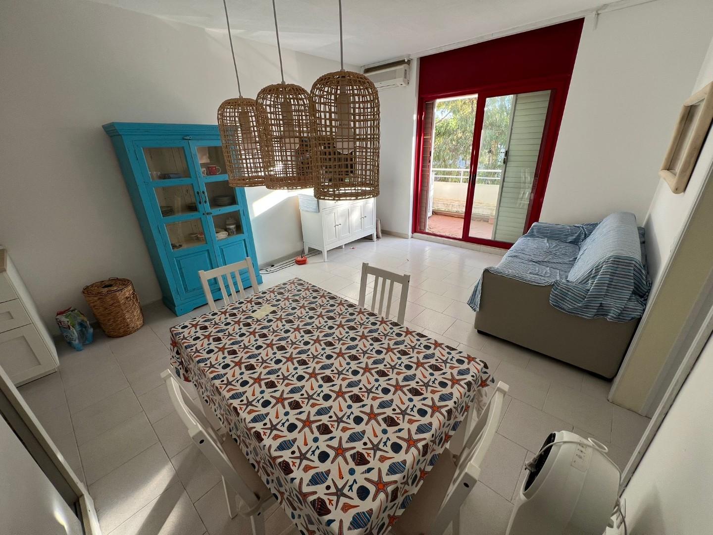 Bilocale con terrazzo, Bibbona marina di