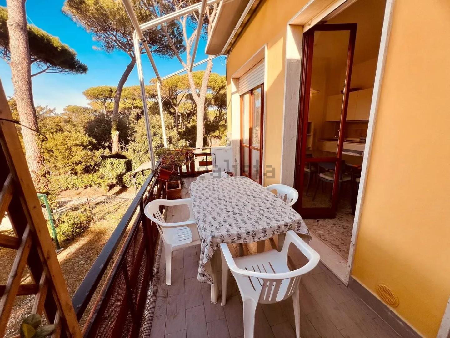 Trilocale con terrazzo, Bibbona marina di