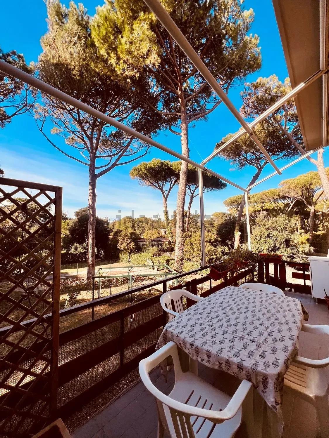 Trilocale con terrazzo, Bibbona marina di