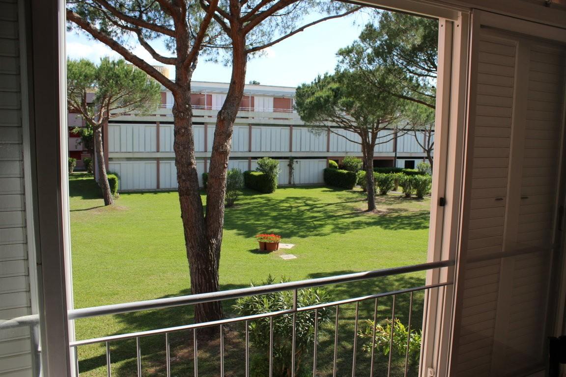 Bilocale in vendita, Bibbona marina di