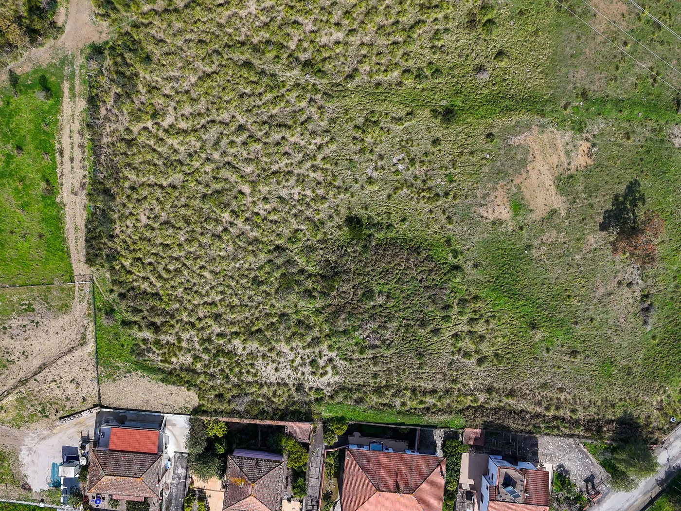 Terreno Agricolo in vendita a Salento