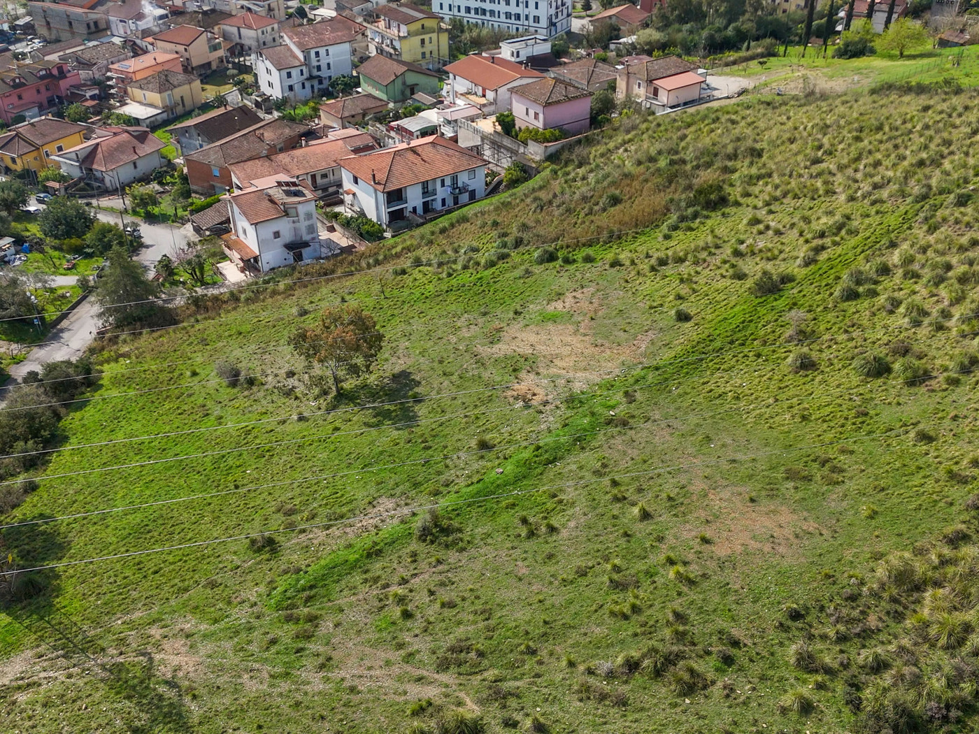 Terreno Agricolo in vendita a Salento