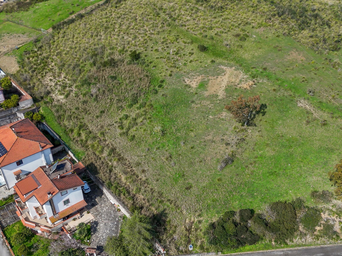 Terreno Agricolo in vendita a Salento