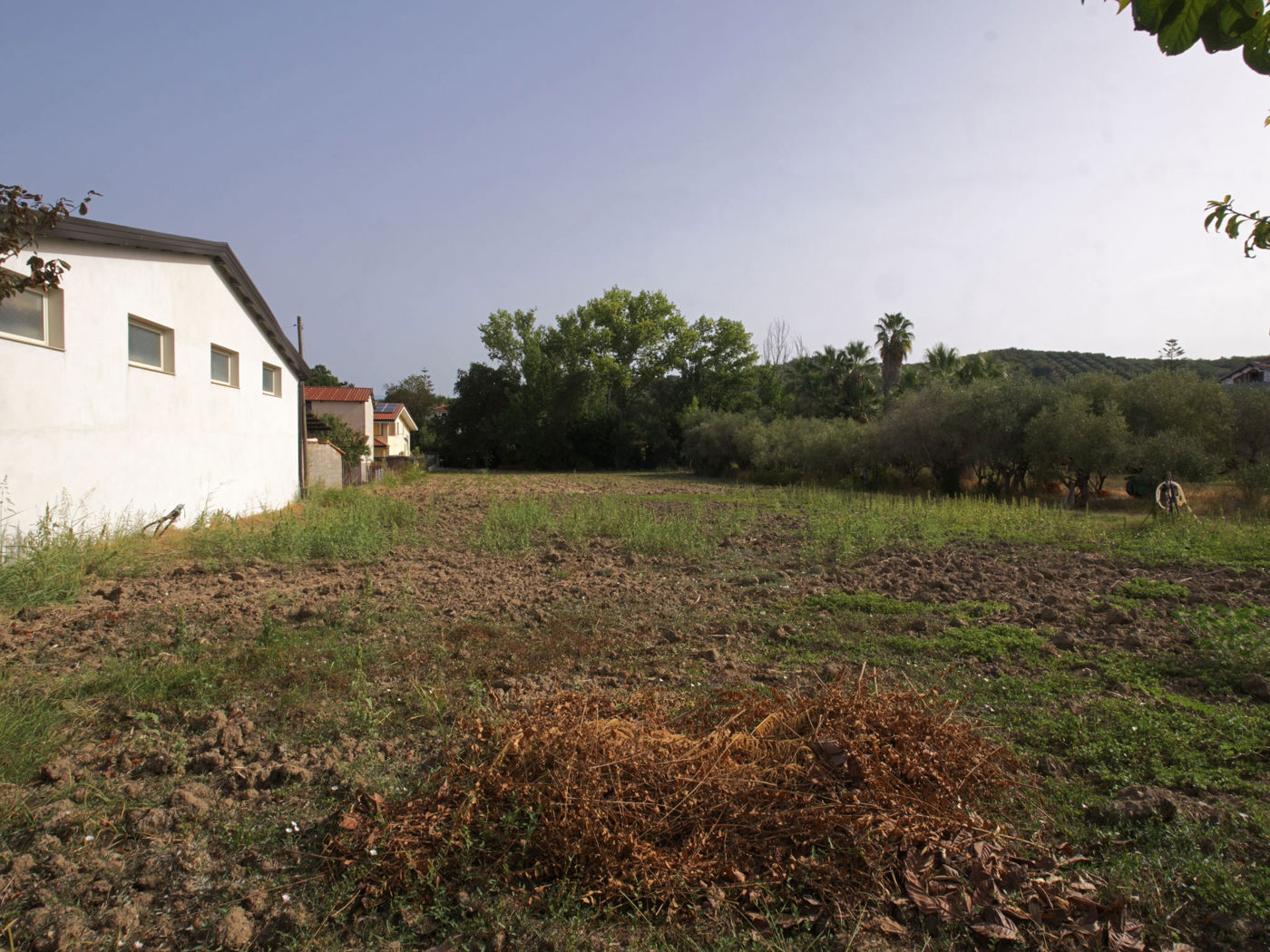 Terreno Edificabile in vendita a Albanella