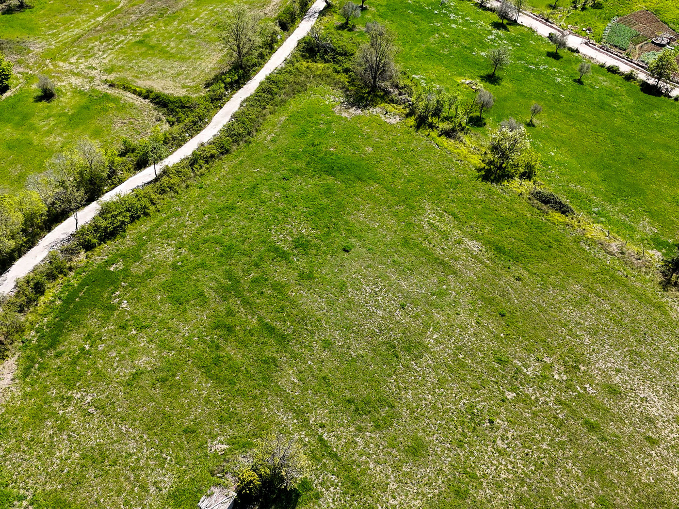 Terreno Agricolo in vendita a Trentinara