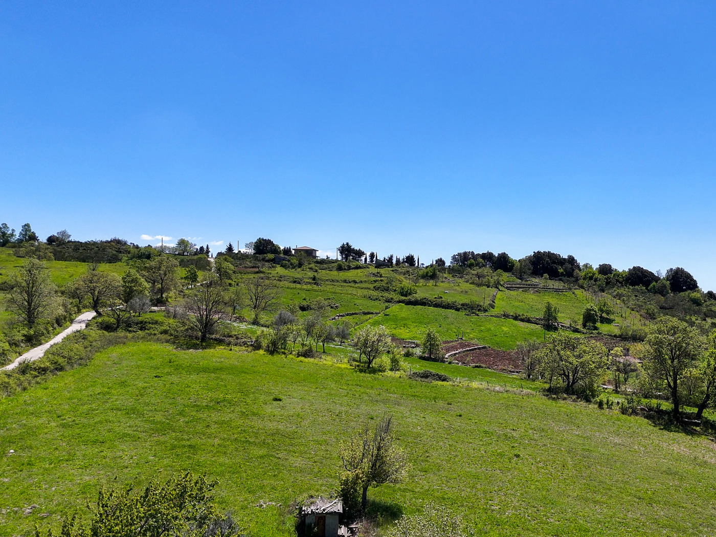 Terreno Agricolo in vendita a Trentinara