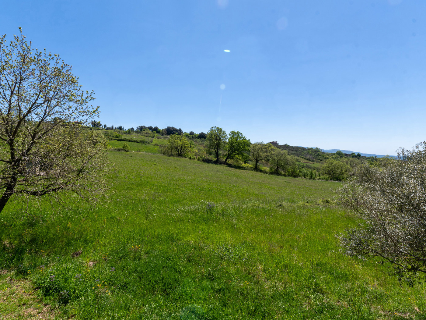 Terreno Agricolo in vendita a Trentinara