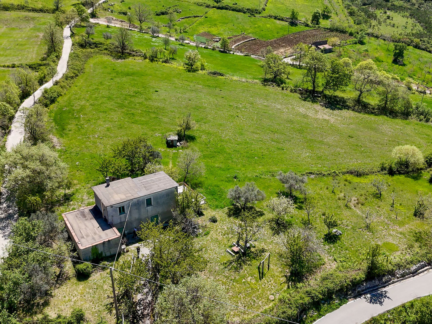 Terreno Agricolo in vendita a Trentinara