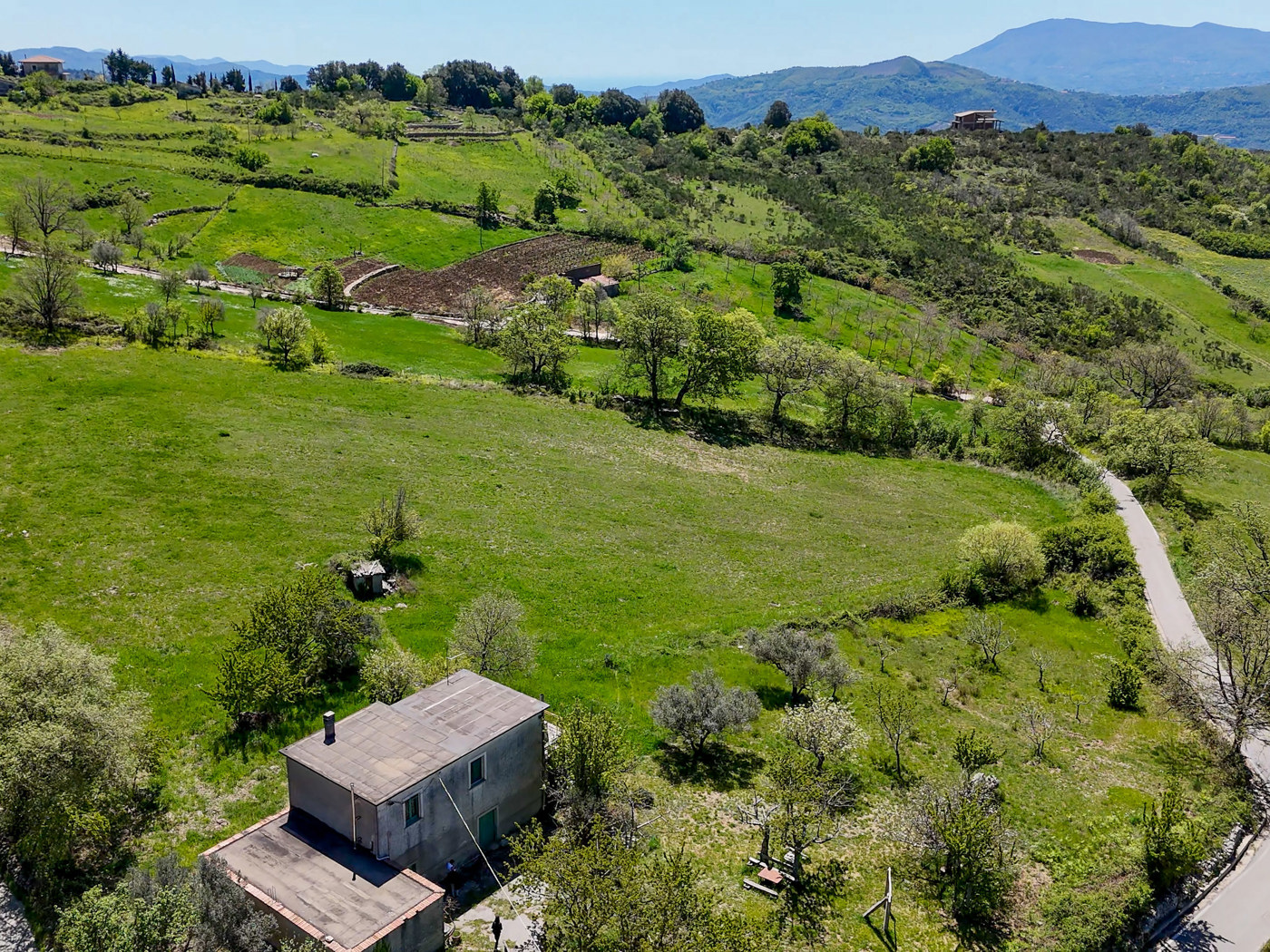 Terreno Agricolo in vendita a Trentinara
