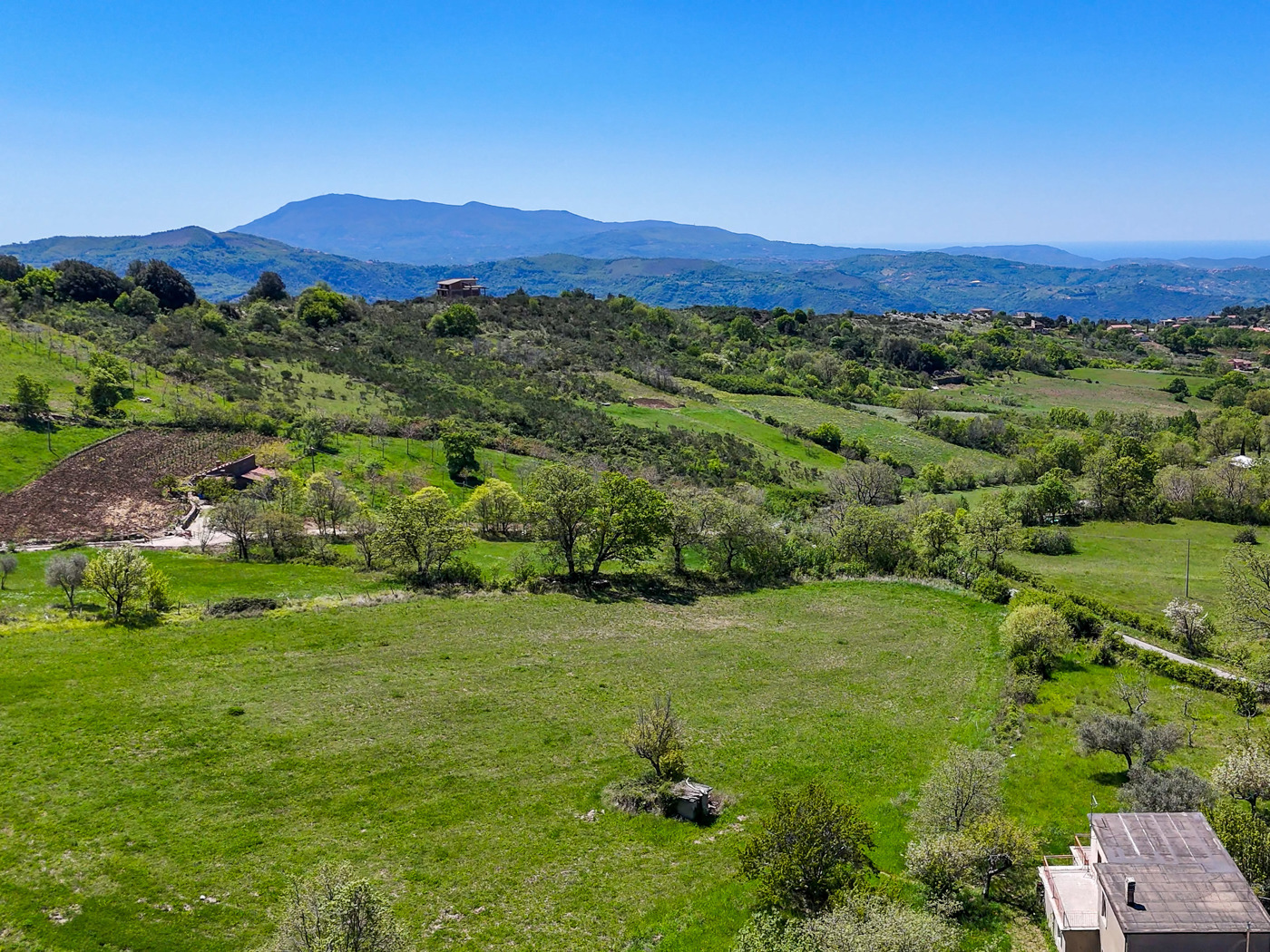 Terreno Agricolo in vendita a Trentinara