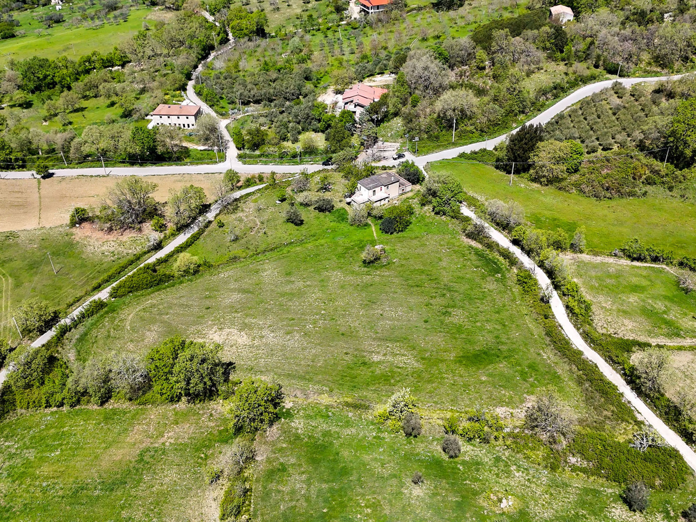 Terreno Agricolo in vendita a Trentinara