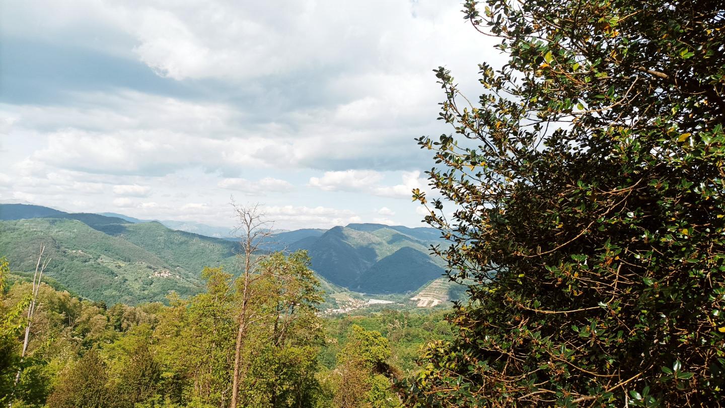 immagine annuncio 0 di 6
