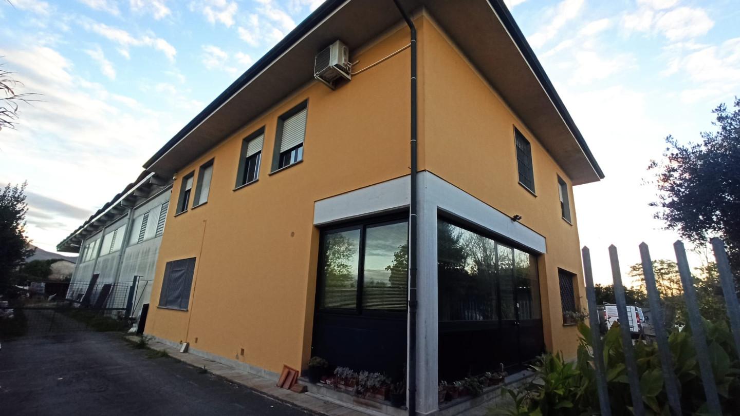 Capannone in vendita, Lucca san concordio contrada