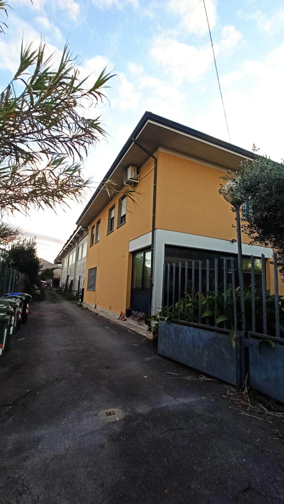 Capannone in vendita, Lucca san concordio contrada